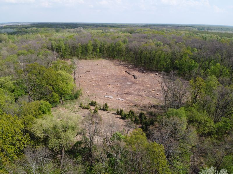 Vegetation Clearing