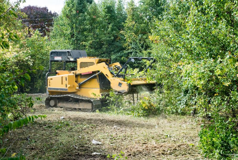 Hill Clearing in Houston, TX