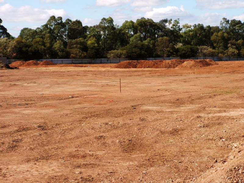 Clearing Site Preparation